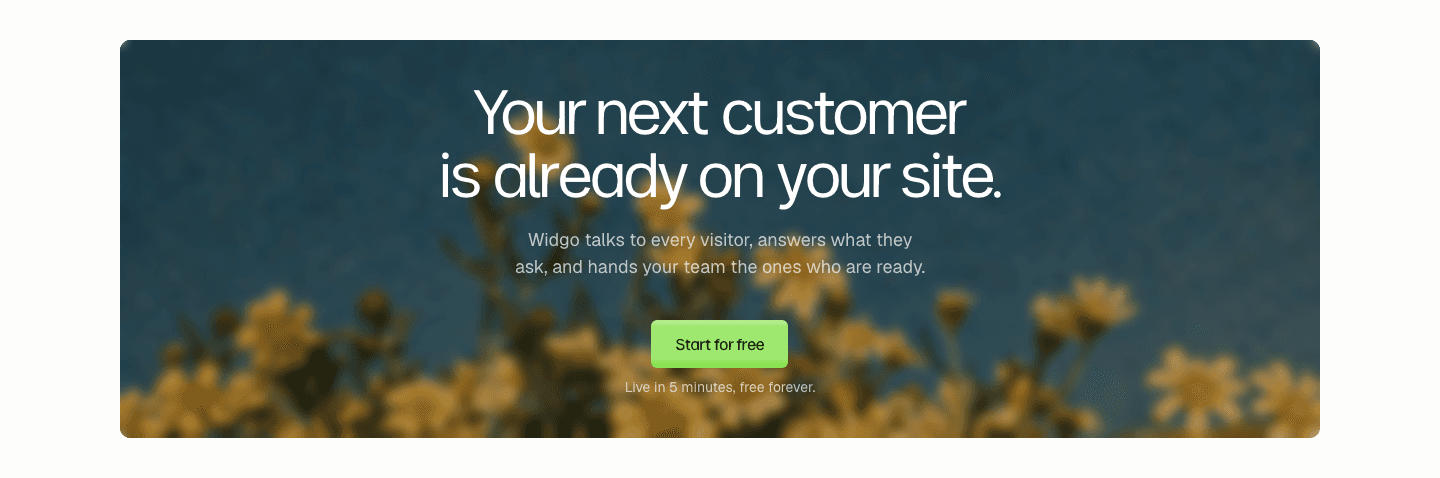 Widgo Cta