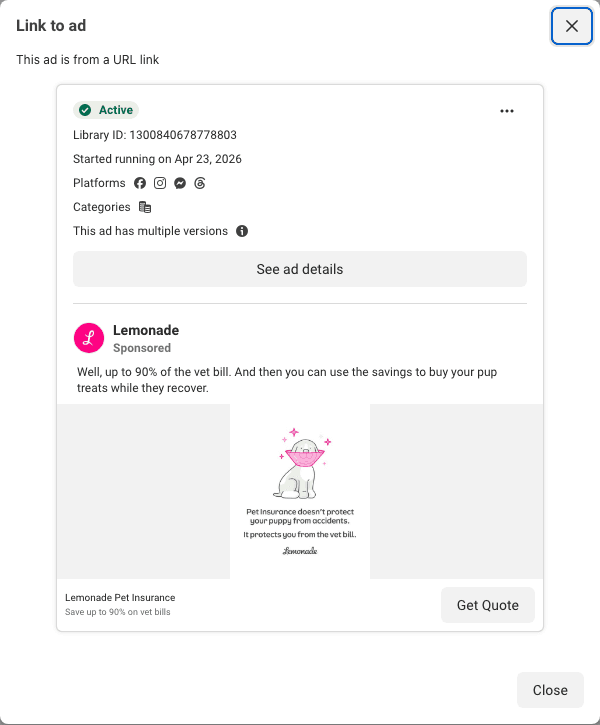 One of Lemonade's eighteen pet cards: a drawing of a dog in a cone, with pet insurance doesn't protect your puppy from accidents, it protects you from the vet bill