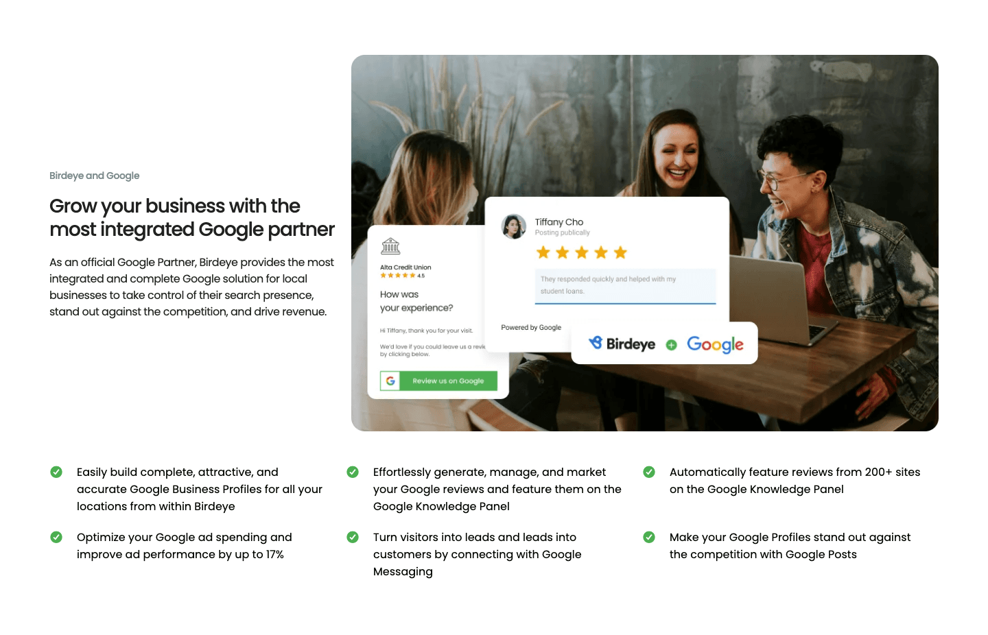 The Google band: official Google Partner, six ticks, and a Birdeye plus Google lockup on the picture