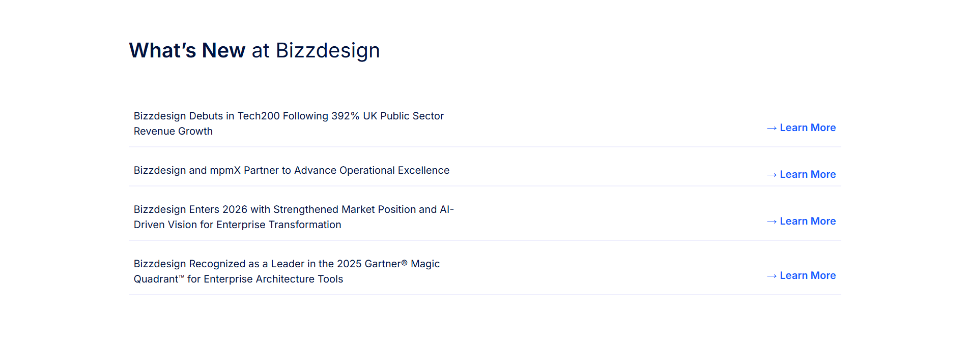 Bizzdesign Resources