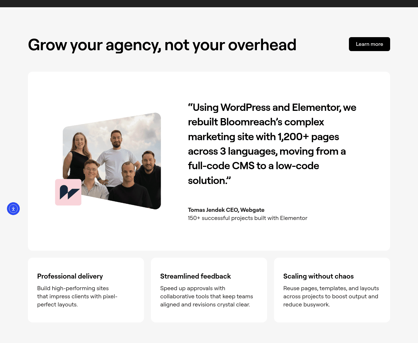 Elementor Testimonial